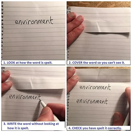 IELTS spelling technique showing look cover write check steps using the word environment in a notebook